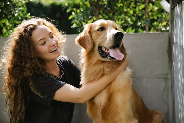 Person petting a dog